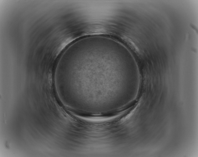X0000097771457200803141734