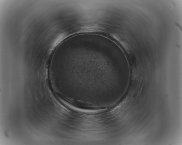 X0000097771459200803141734