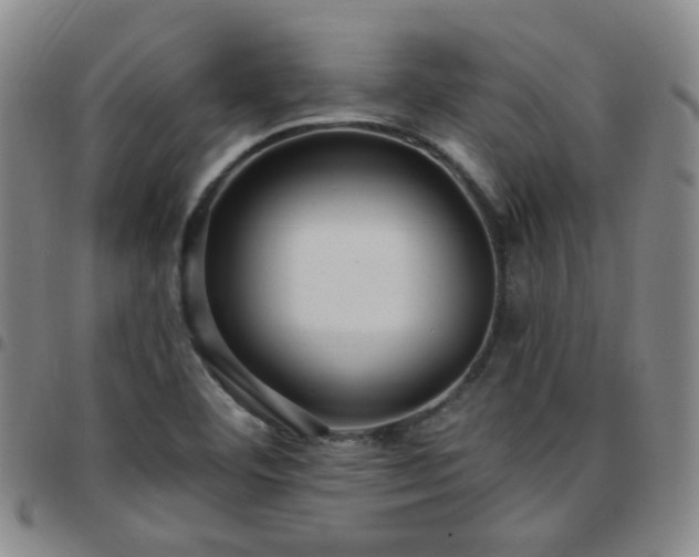 X0000097771460200803141734