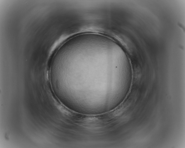X0000097771462200803141734