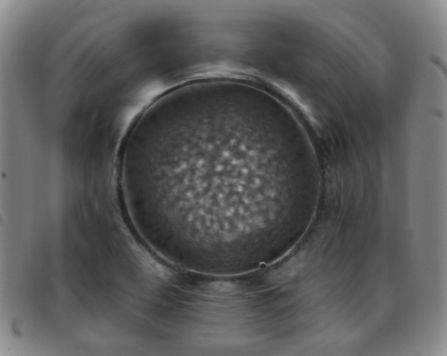 X0000097771463200803141734