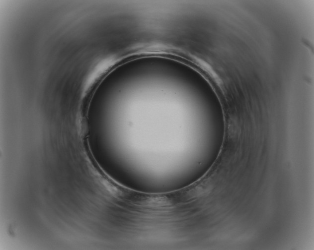 X0000097771464200803141734