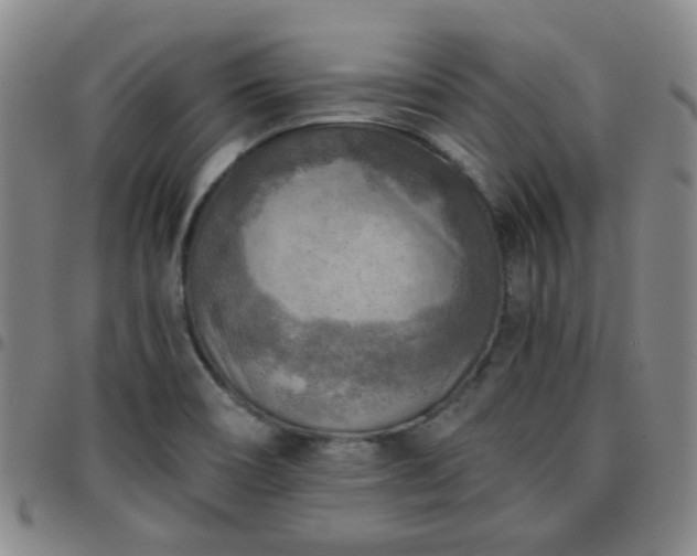 X0000097771466200803141734