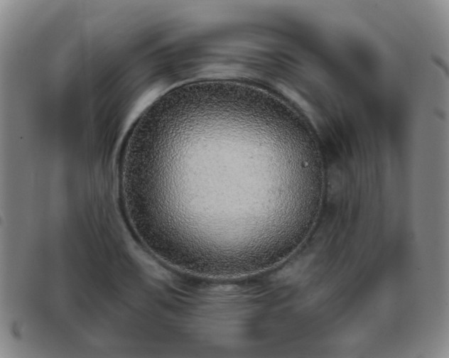 X0000097771467200803141734