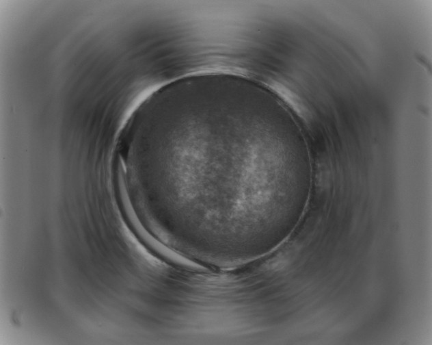 X0000097771468200803141734