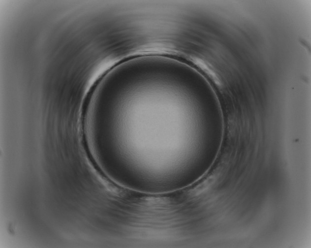 X0000097771469200803141734