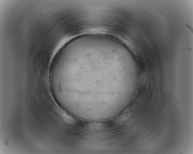 X0000097771470200803141734
