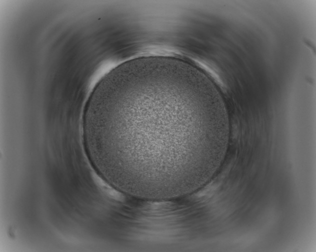 X0000097771471200803141734