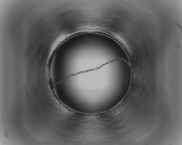 X0000097771472200803141734