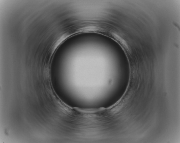 X0000097771473200803141734