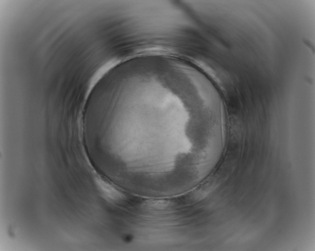 X0000097771474200803141734