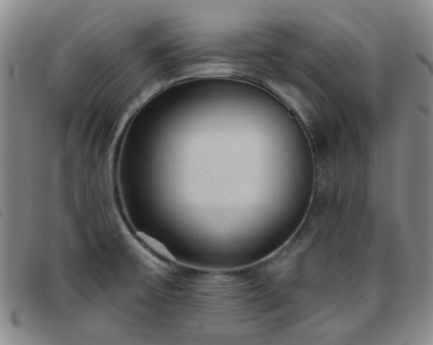 X0000097771475200803141734