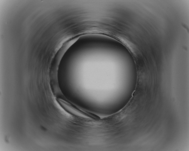 X0000097771476200803141734