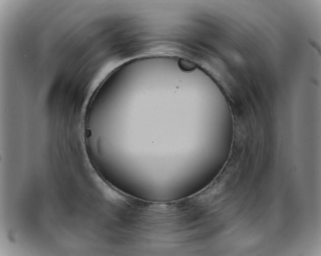 X0000097771478200803141734