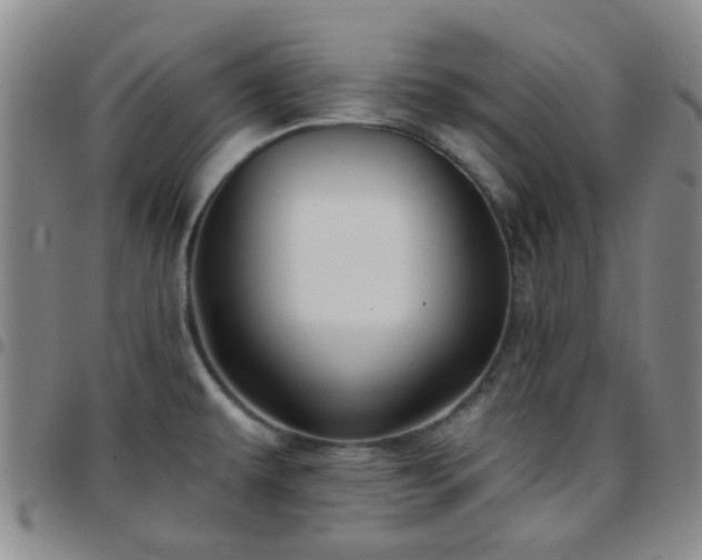 X0000097771479200803141734