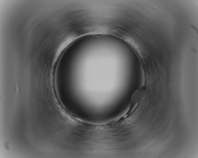 X0000097771480200803141734