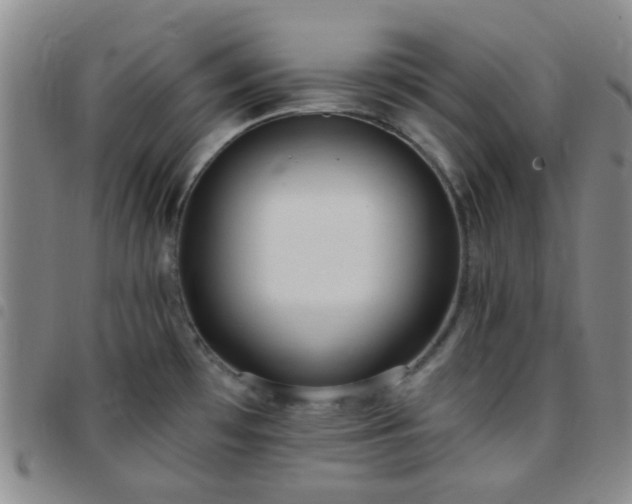 X0000097771481200803141734