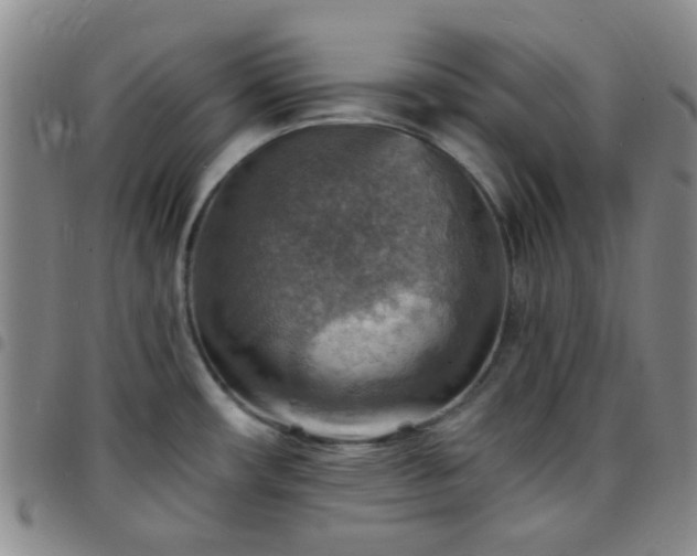 X0000097771482200803141734