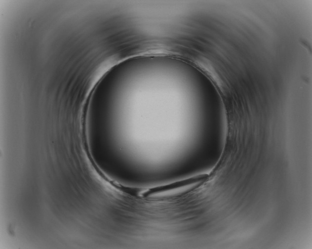 X0000097771483200803141734