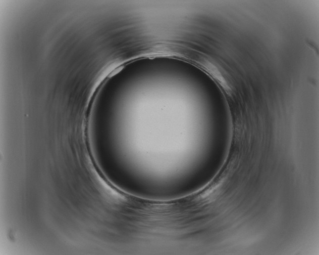 X0000097771484200803141734