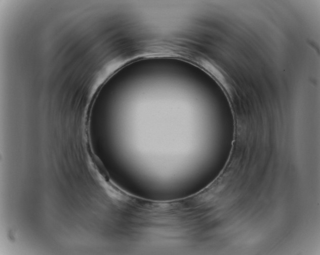 X0000097771485200803141734