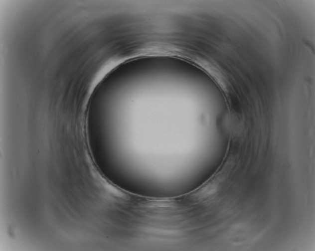 X0000097771486200803141734