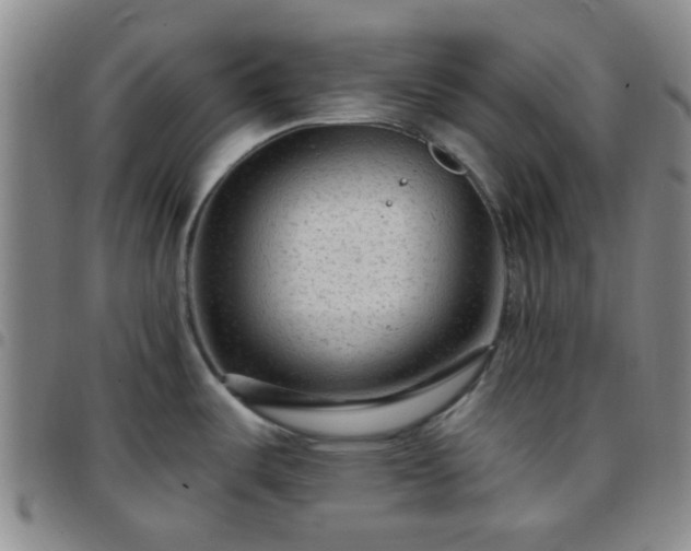 X0000097771487200803141734