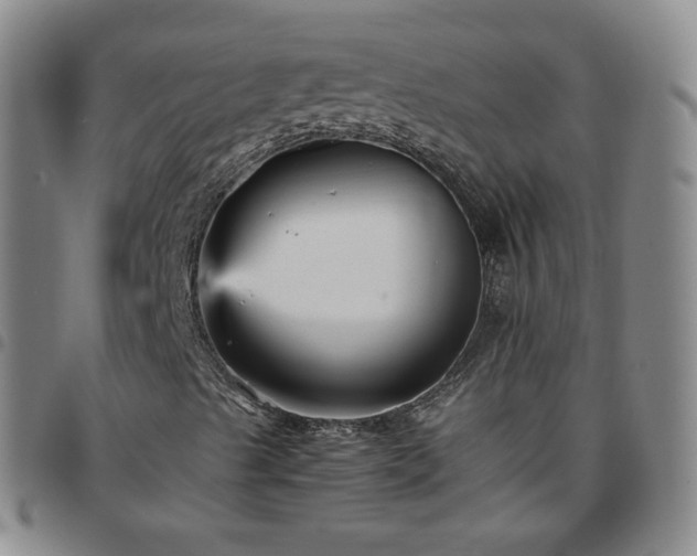 X0000097771489200803141733