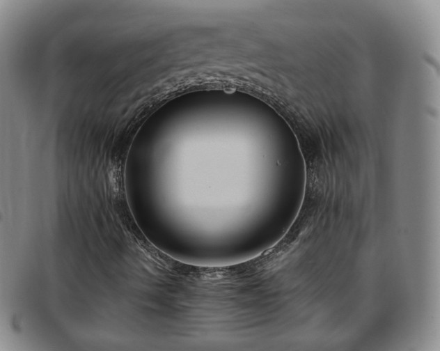 X0000097771490200803141733
