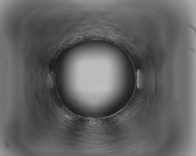 X0000097771491200803141733
