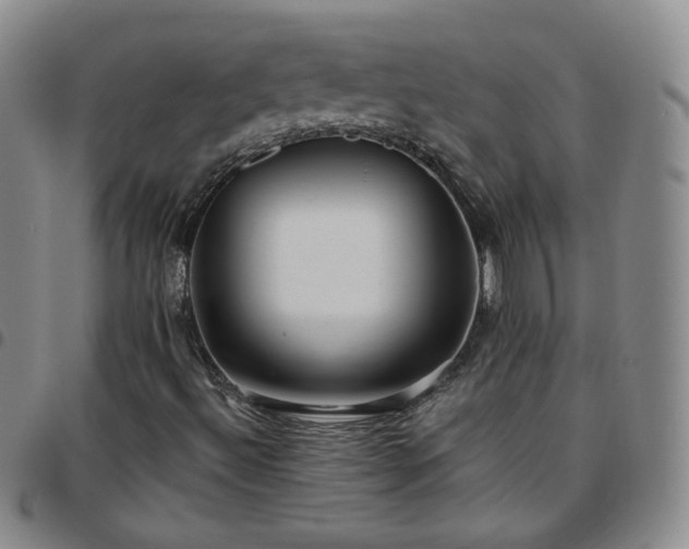 X0000097771492200803141733