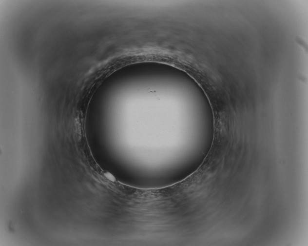 X0000097771493200803141733