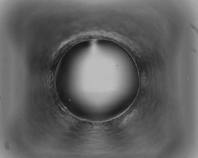 X0000097771494200803141733