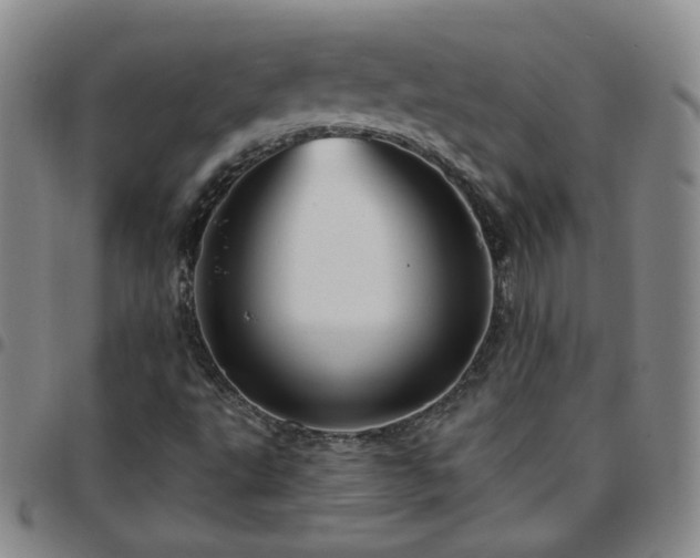 X0000097771495200803141733