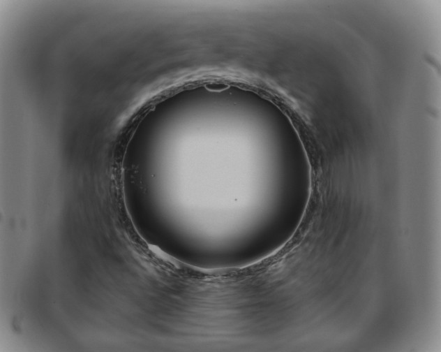 X0000097771496200803141733