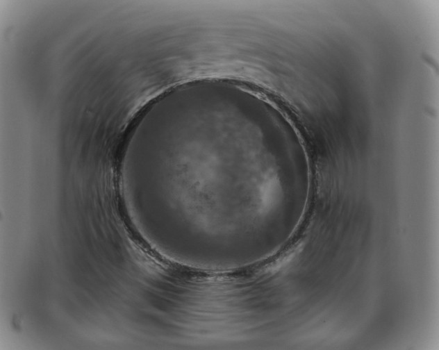 X0000097771497200803141733