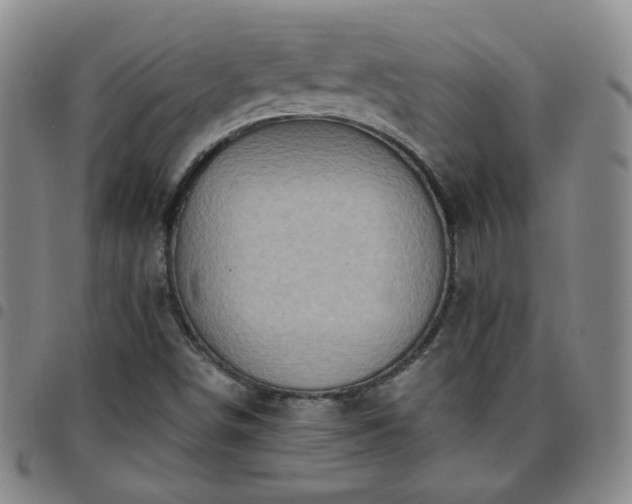 X0000097771498200803141733