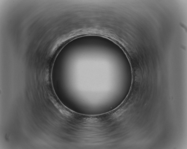 X0000097771499200803141733