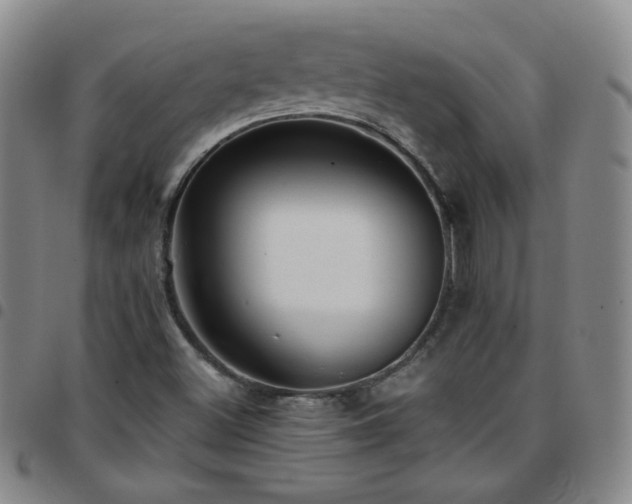 X0000097771500200803141733
