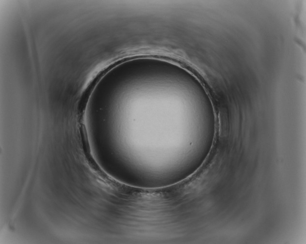 X0000097771501200803141733