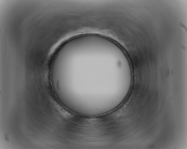 X0000097771502200803141733