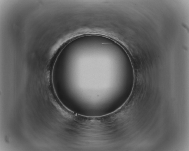 X0000097771503200803141733