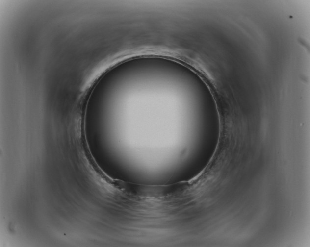 X0000097771504200803141733