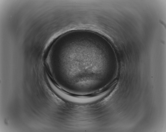 X0000097771506200803141733