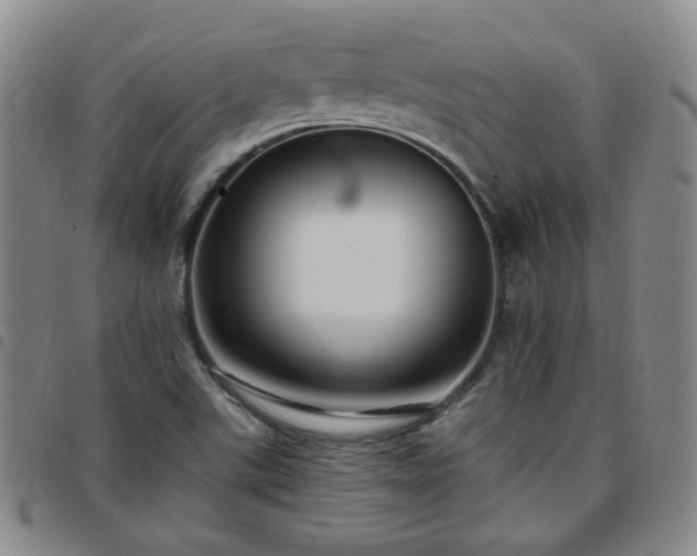 X0000097771507200803141733