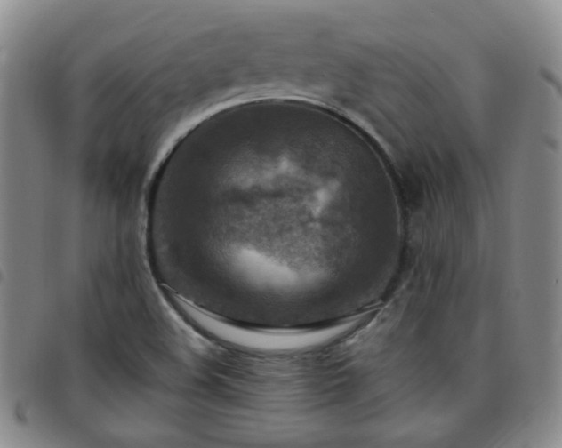 X0000097771508200803141733