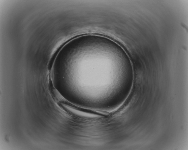 X0000097771509200803141733
