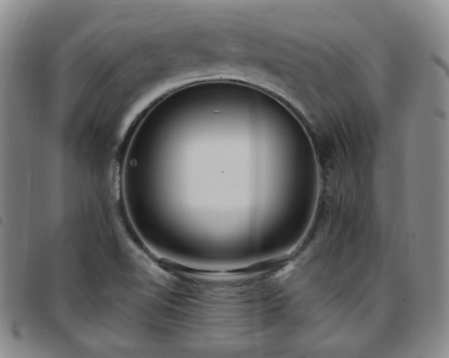 X0000097771510200803141733