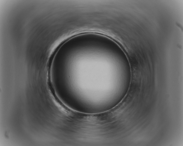 X0000097771511200803141733