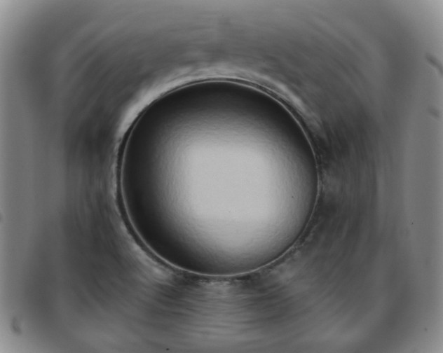 X0000097771512200803141733